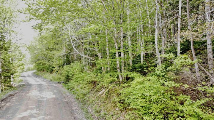 Property Photo:  Lot 18-1 Glenora Falls Road  NS B0E 1X0 