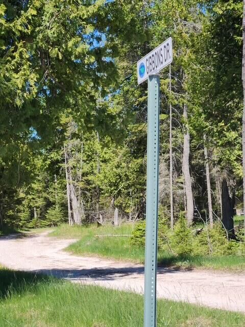 Property Photo: 5.07 Acres Gibbons Drive MI 49775