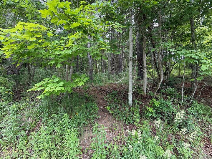 Property Photo:  55 Badger Road  NY 13904 