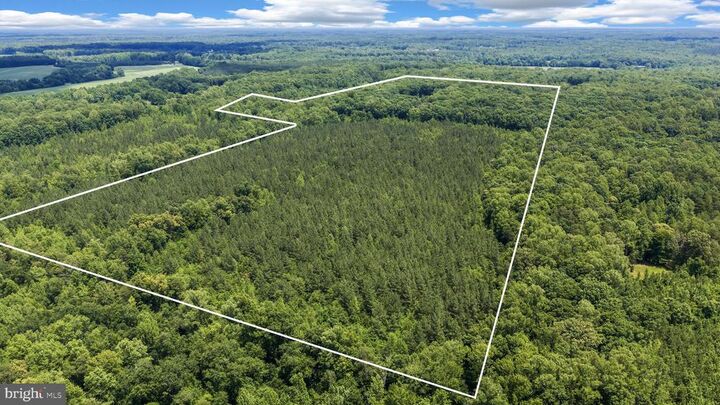 Property Photo: 1271 Apple Grove Rd VA 23117