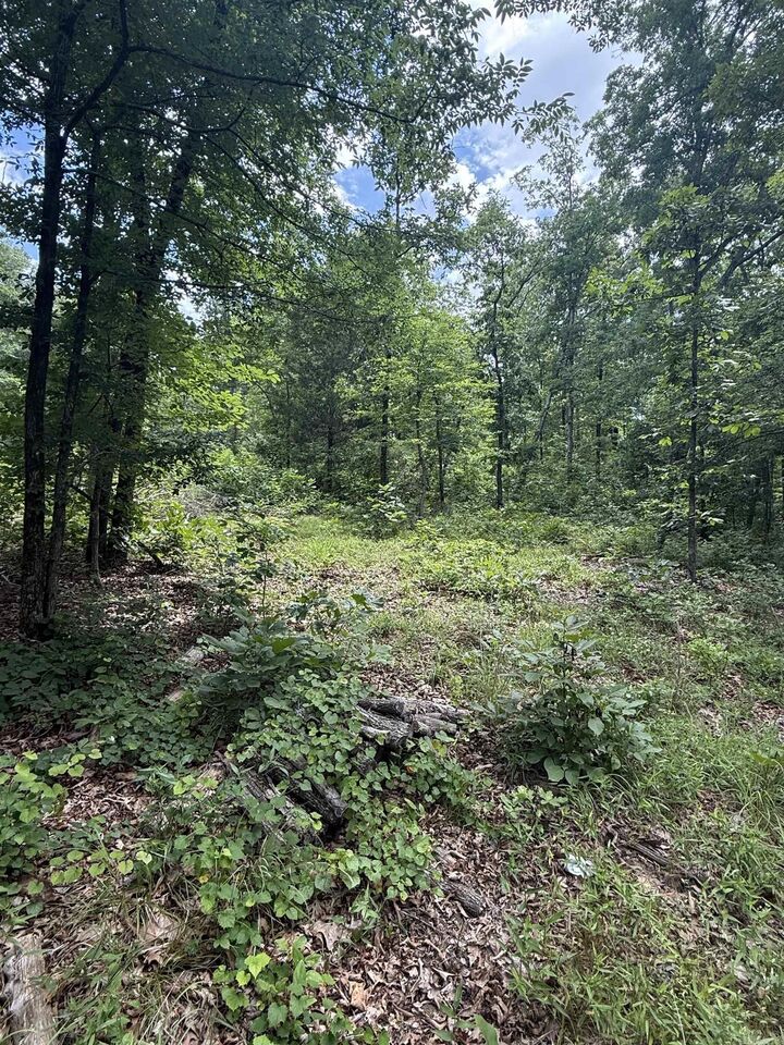Property Photo:  4650 Edgemont Road  AR 72131 