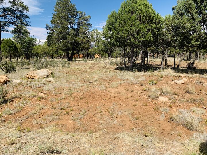 Property Photo: 2277 Pine Crest Drive AZ 86024