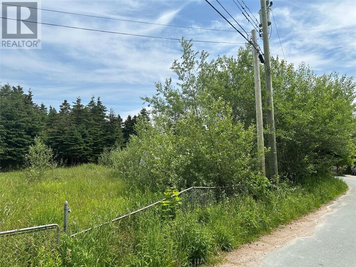 Property Photo:  16 Ridge Road  NL A0A 2R0 