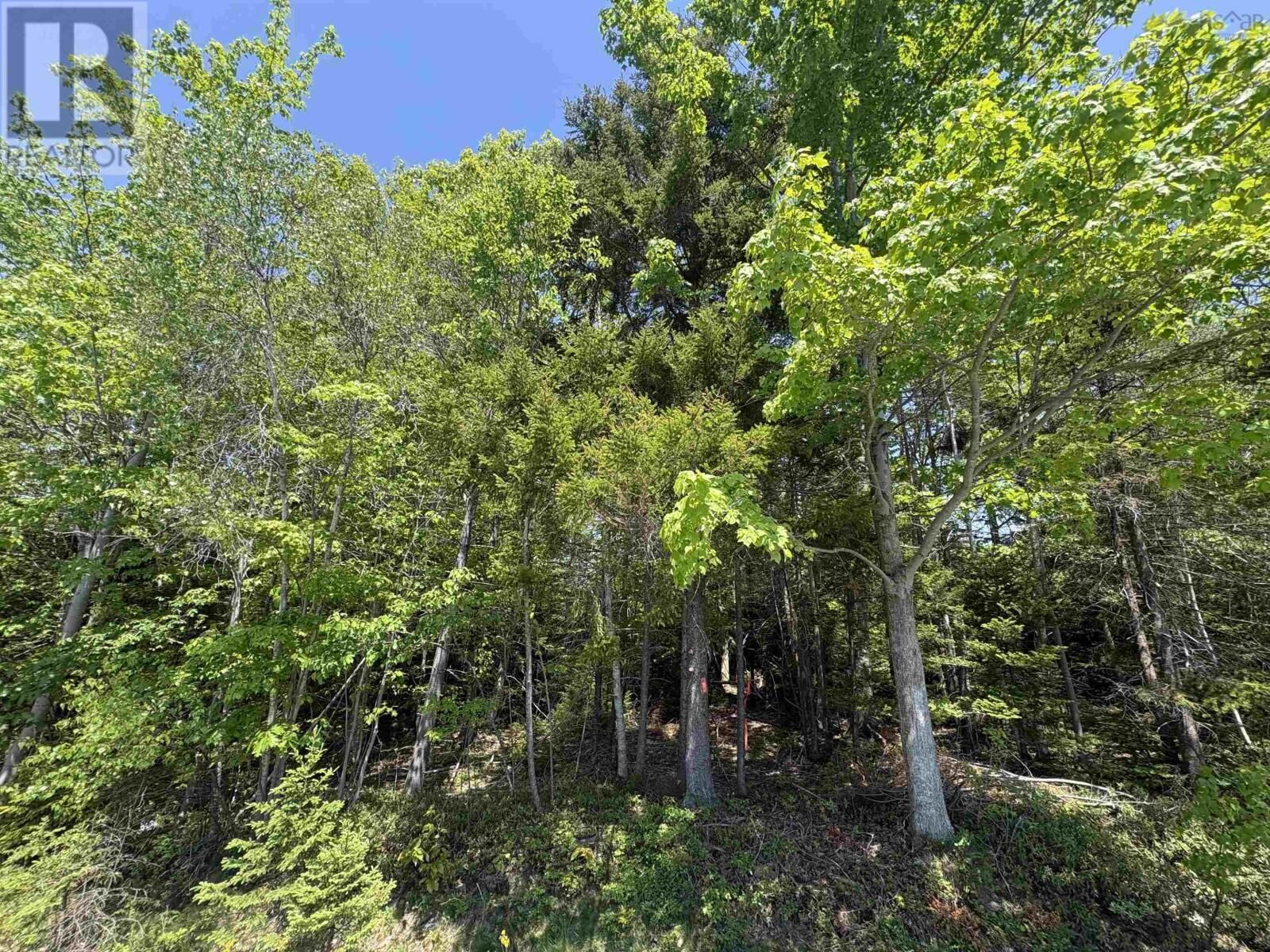 Property Photo:  Lot Tjm-3 Highway 354  NS B0N 1P0 