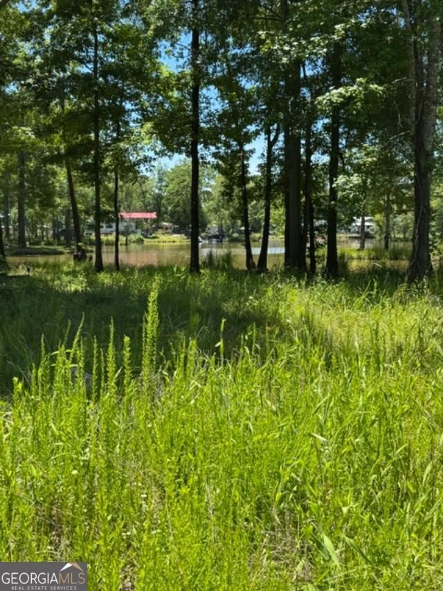 Property Photo:  Lot 5 Nickles Cove Lot 5  AL 35959 