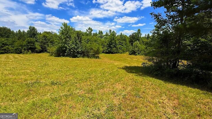 Property Photo:  0 Nix Road  GA 30110 