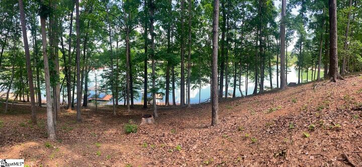 Property Photo: 00 Sweet Gum Drive Lot 28 SC 29693