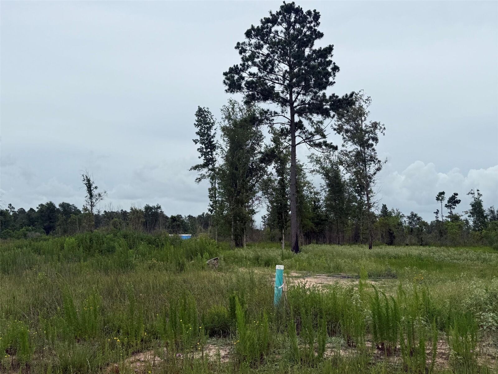 Property Photo: 390 Road 5879 TX 77327