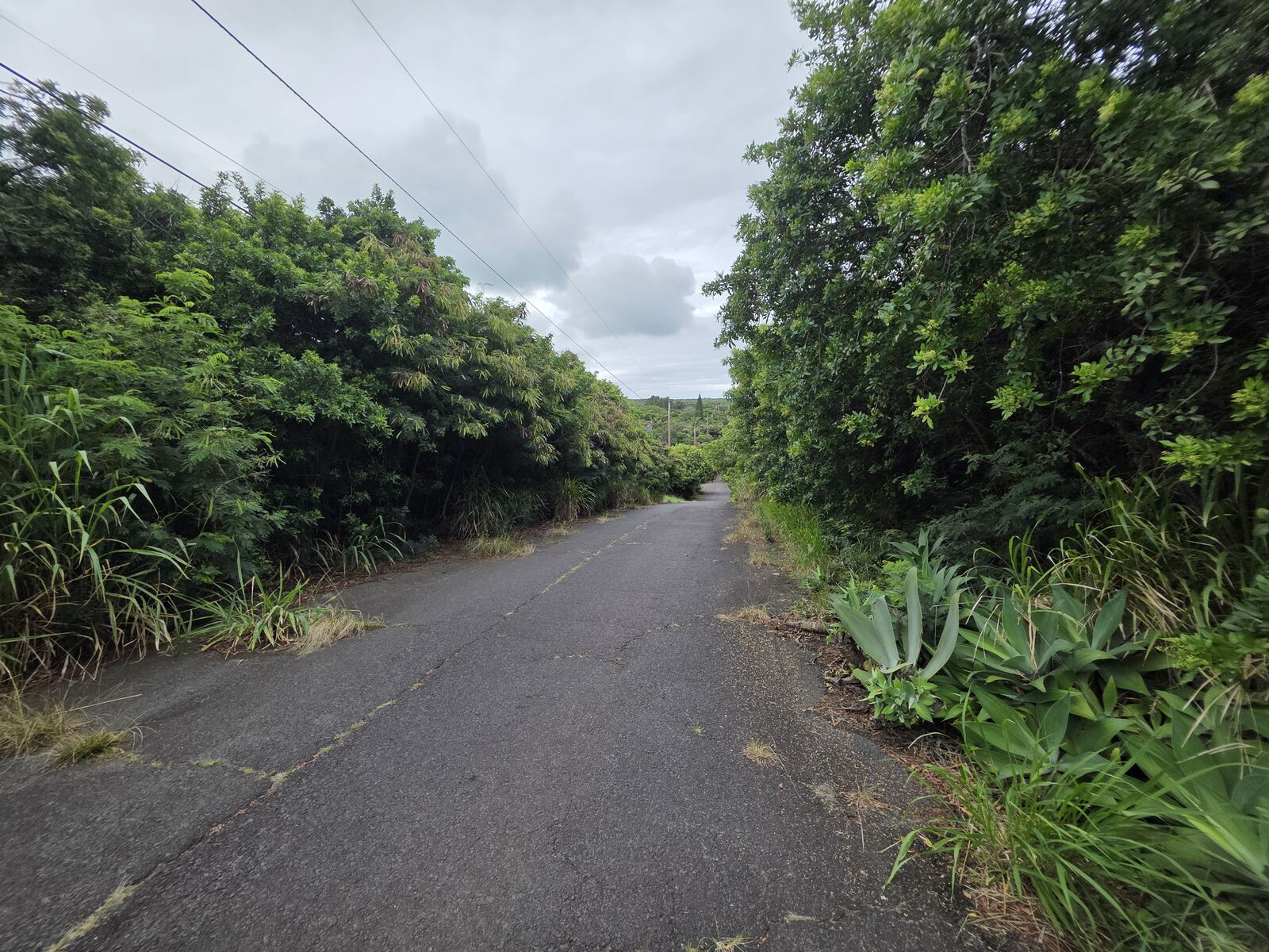 Property Photo:  Mauka St  HI 96772 