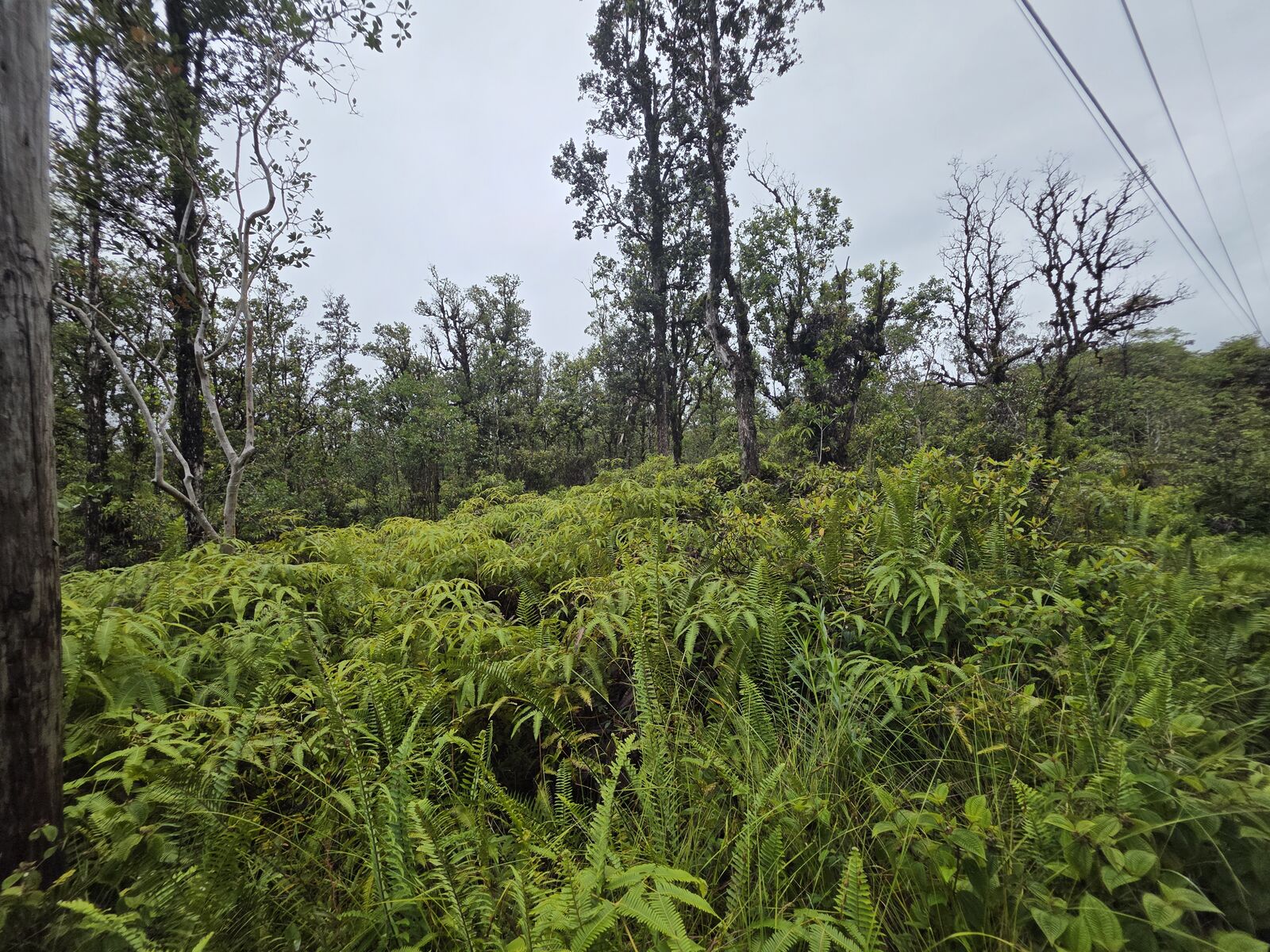 Property Photo: Hopue Rd HI 96771