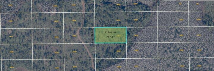 Property Photo:  Dill Road  FL 32820 