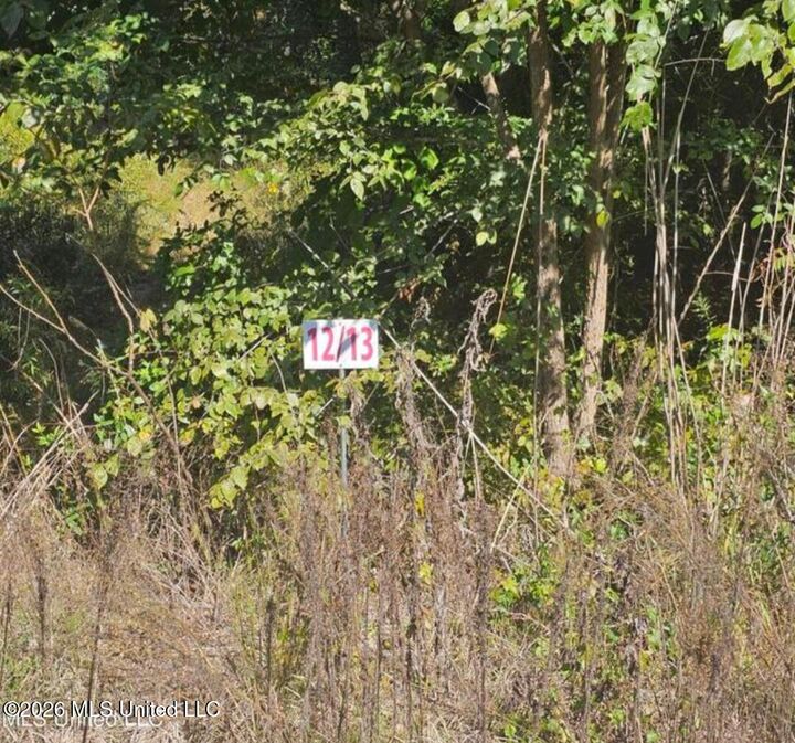 Property Photo: 13 Sunset Drive MS 38618