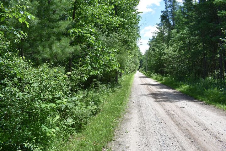 Property Photo:  000 S Queens Highway  MI 49623 