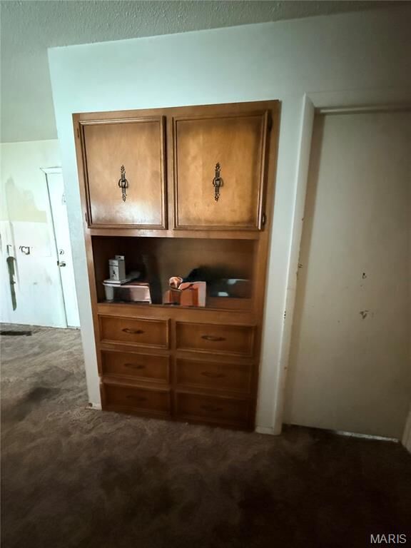 Property Photo: 1176 County Road 523 MO 63901
