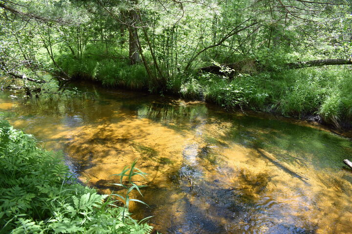 Property Photo: 5199 E Marquette Trail MI 49623