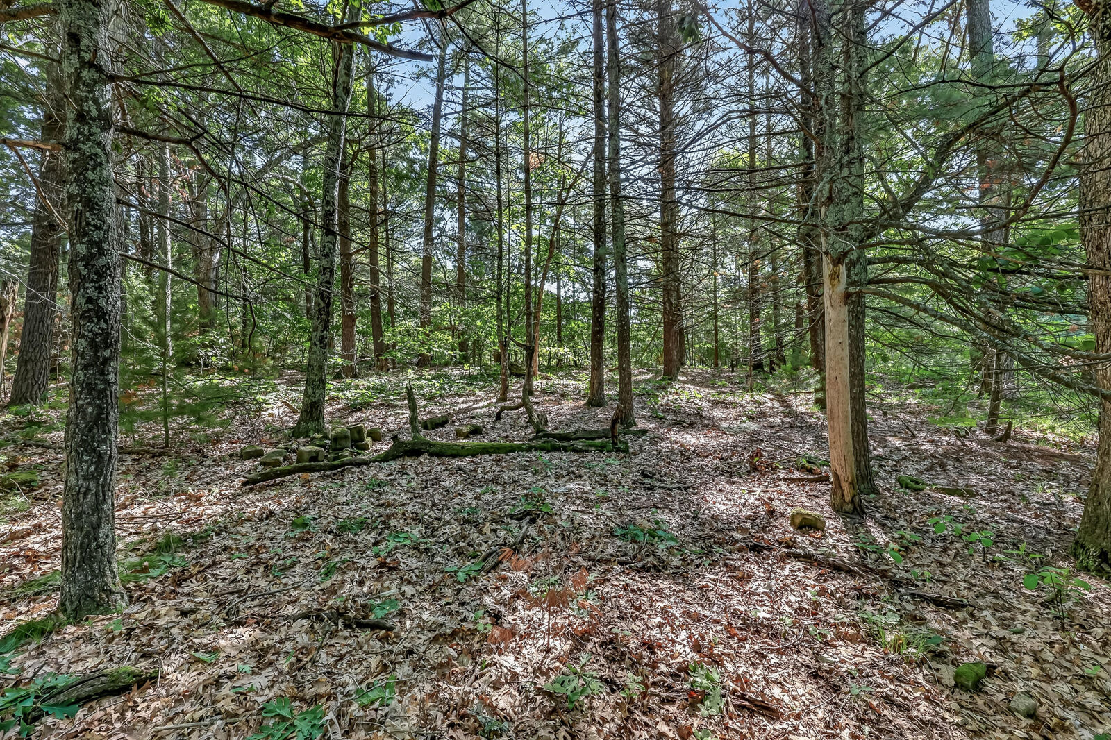 Property Photo: Vl W Michigan Road MI 49457