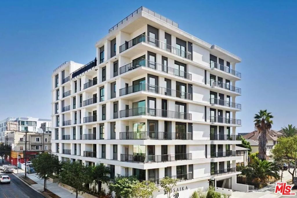 Property Photo:  904 S New Hampshire Avenue 203  CA 90006 