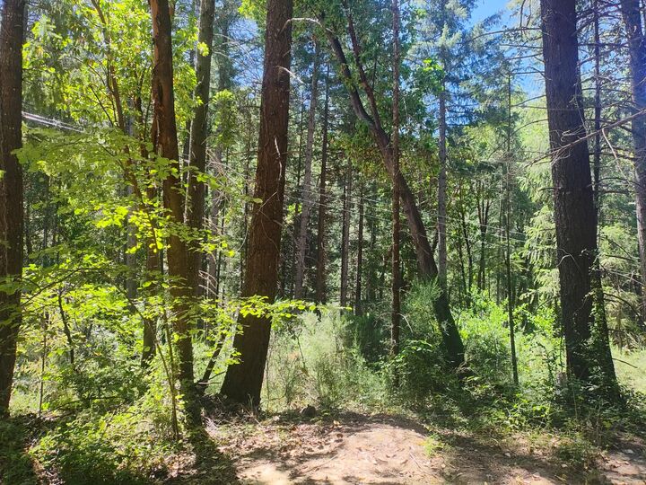Property Photo: 18290 Backwoods Road CA 95959