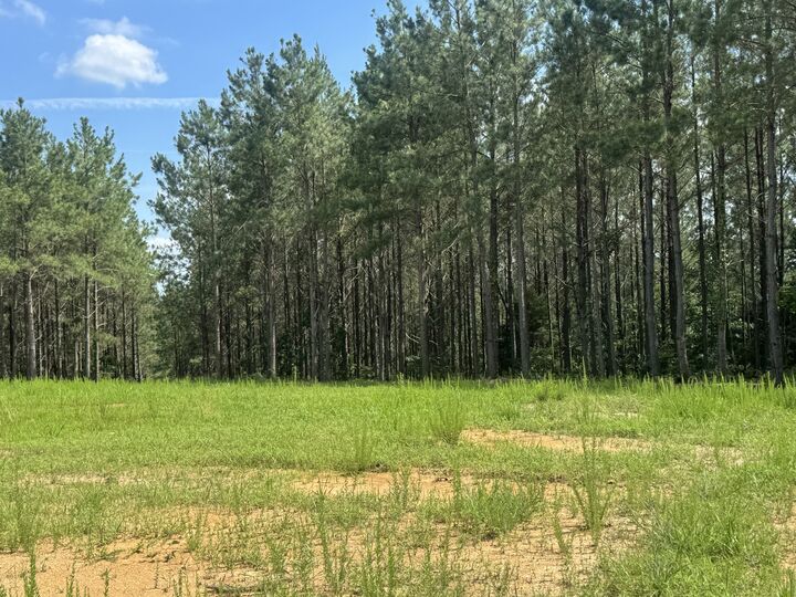 Property Photo: 0 Rustic Pines Rd TN 37058