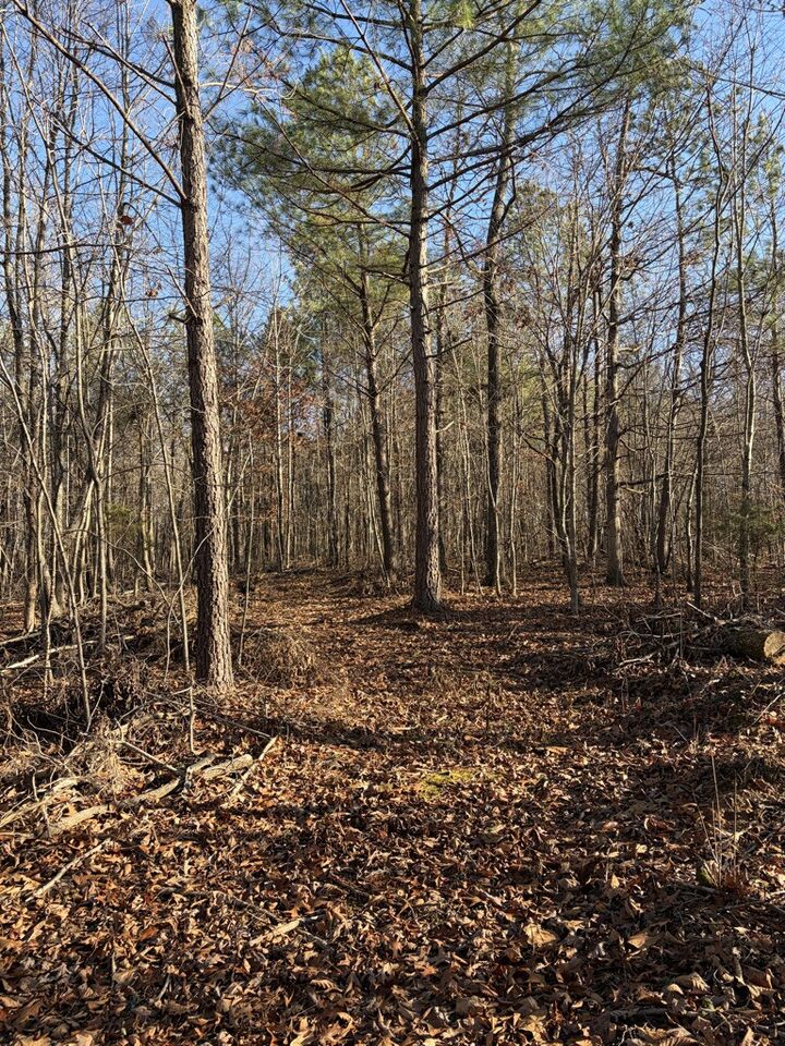 Property Photo: 0 Hatley Rd TN 37098