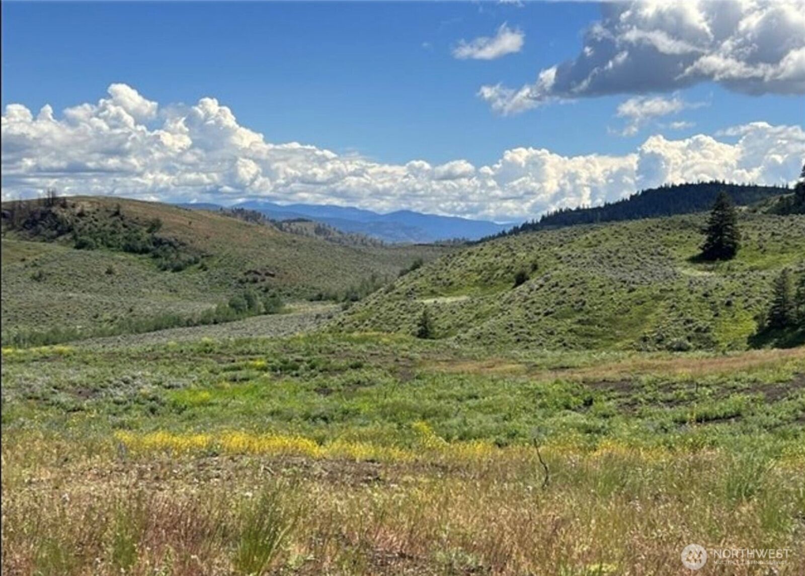Property Photo:  0 Tbd  Ellemeham Mountain Road  WA 98844 