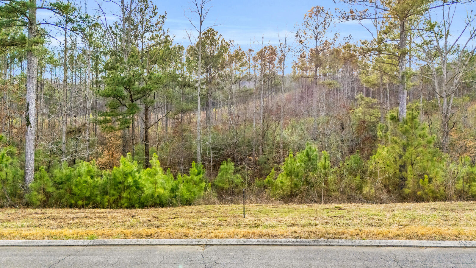 Property Photo:  110 Quail Lane  TN 37361 