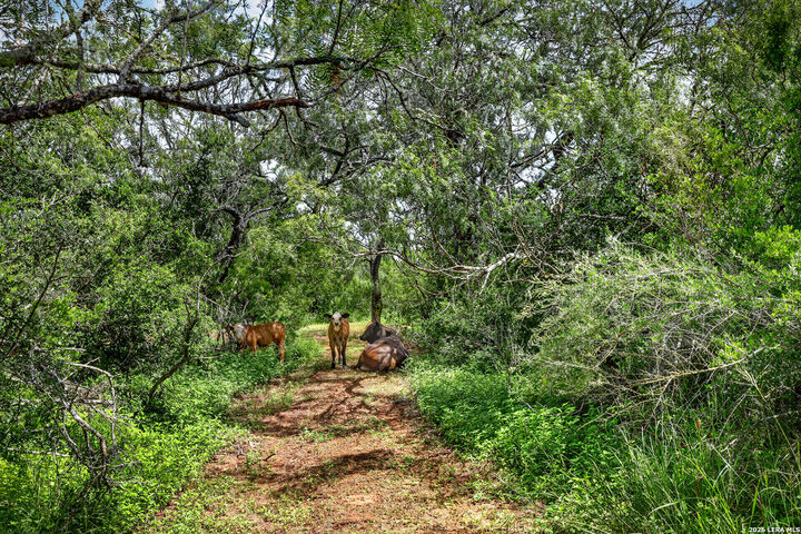 Property Photo: 622 County Road 460 TX 78160