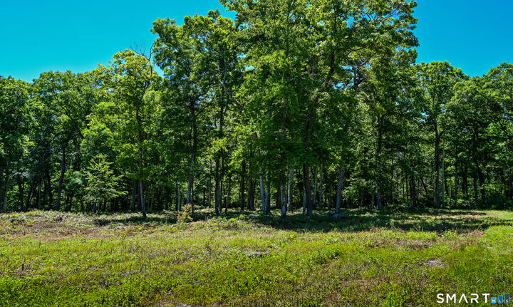 Property Photo:  Westwoods Road #2  CT 06069 