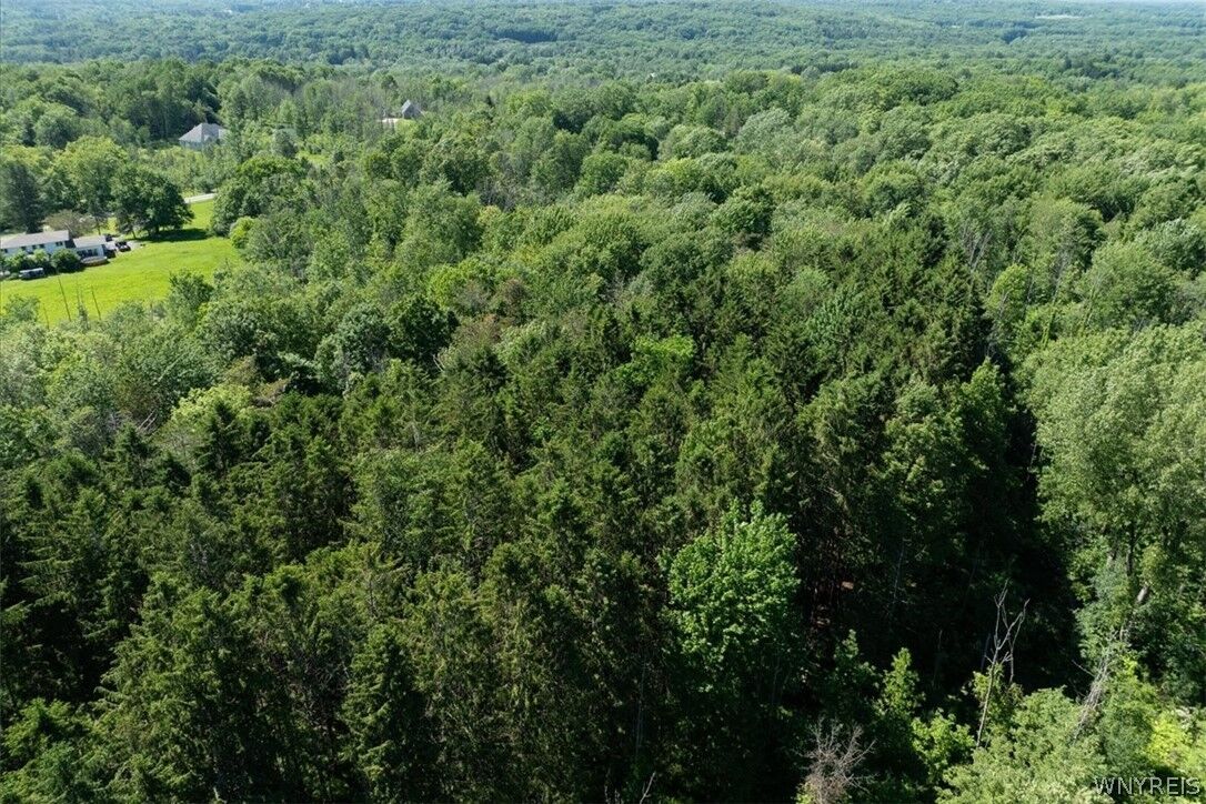 Property Photo: 1600 Grover Road NY 14052