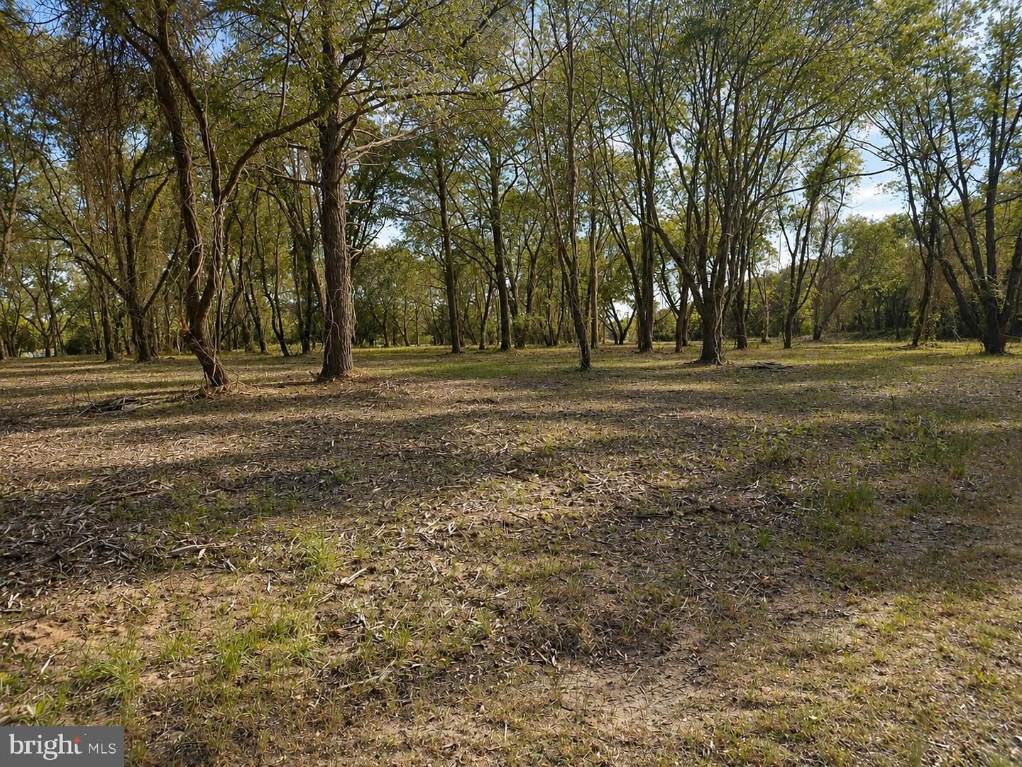 Property Photo: Lot 1 Red Hill Lane MD 21840