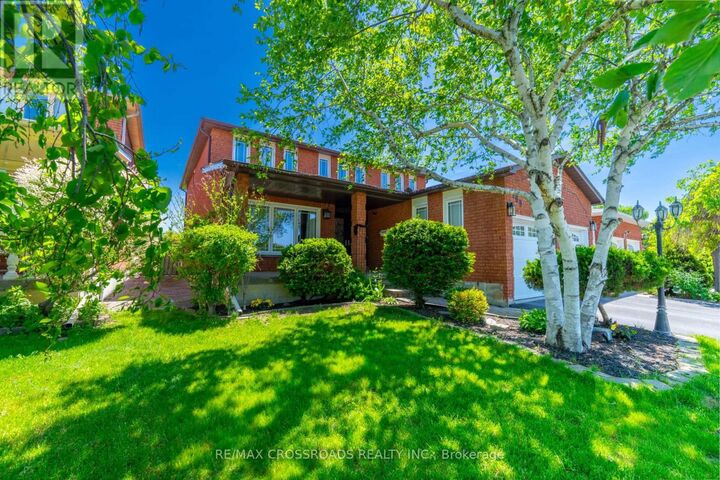 Property Photo:  169 Morning Star Drive Bsmnt  ON L4L 6J1 