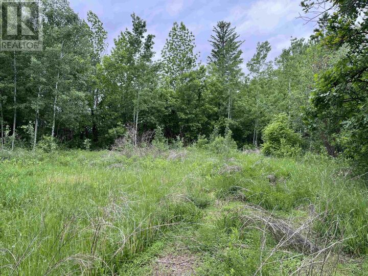 Property Photo:  Pin 560490007 Hwy 11  ON P0W 1K0 