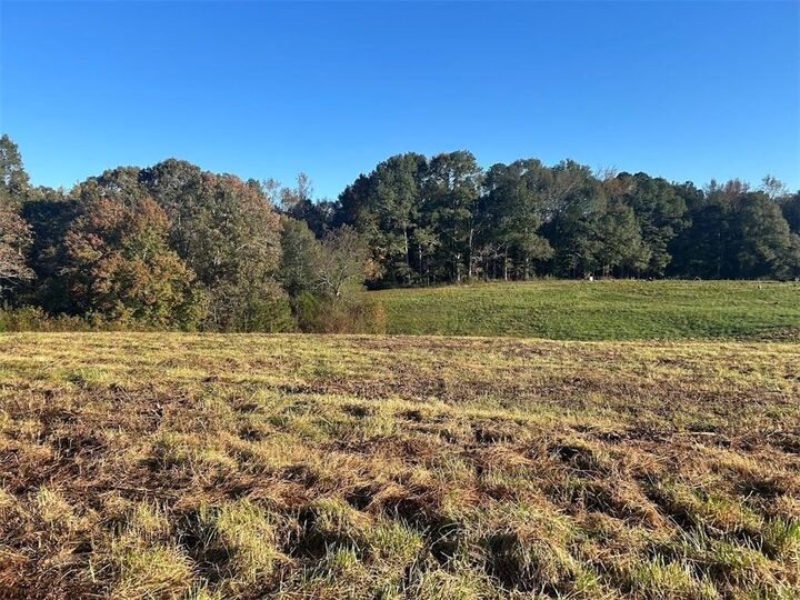 Property Photo:  0 Old Columbus Road  GA 30108 