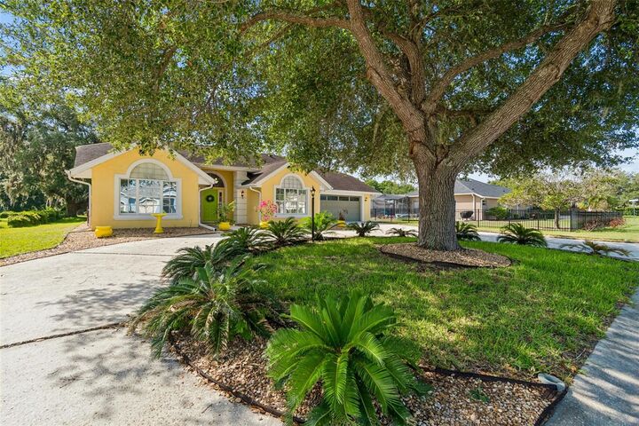 Property Photo:  12728 Flamingo Parkway  FL 34610 