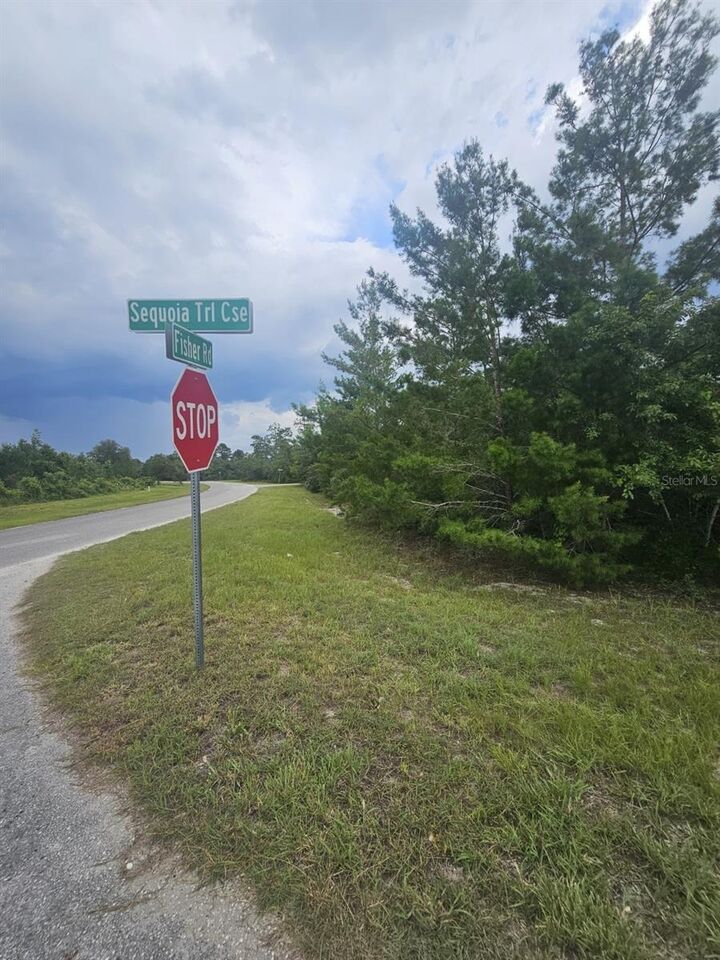 Property Photo: Lot 1 Fisher Road FL 32179