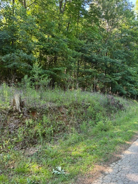 Property Photo: 0 Southern Pines Drive GA 30540