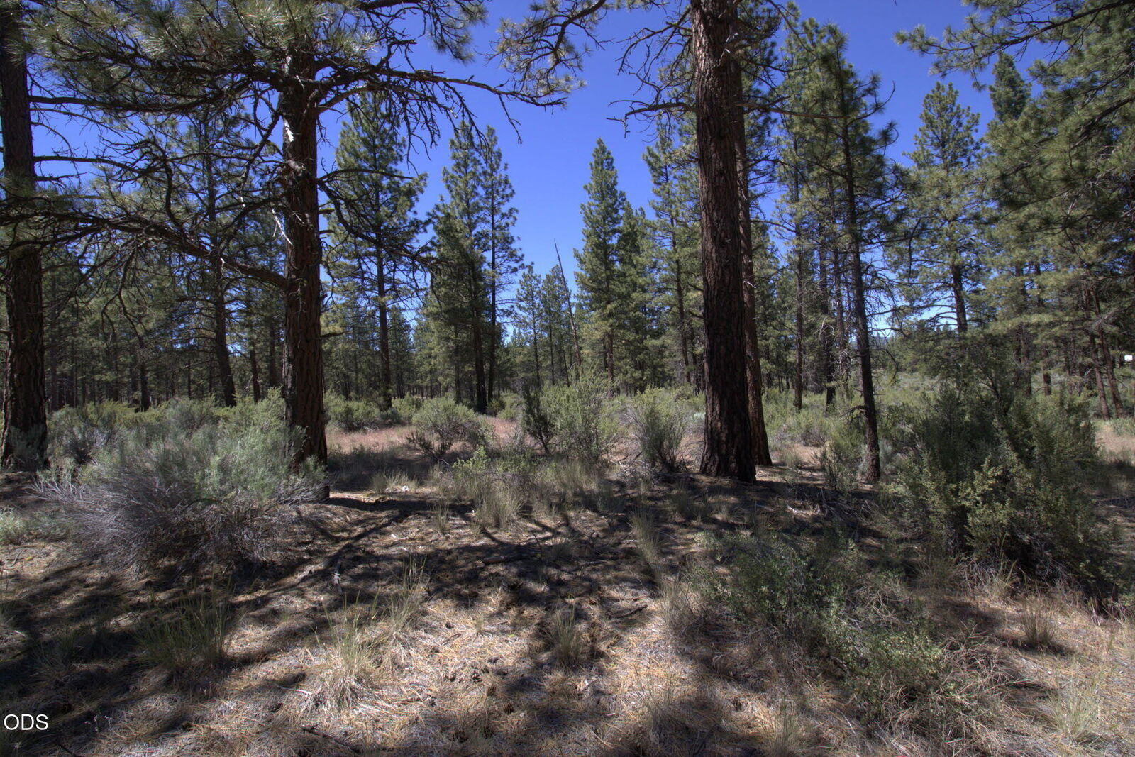 Property Photo: Pow Wow Lane Lot 15 OR 97639