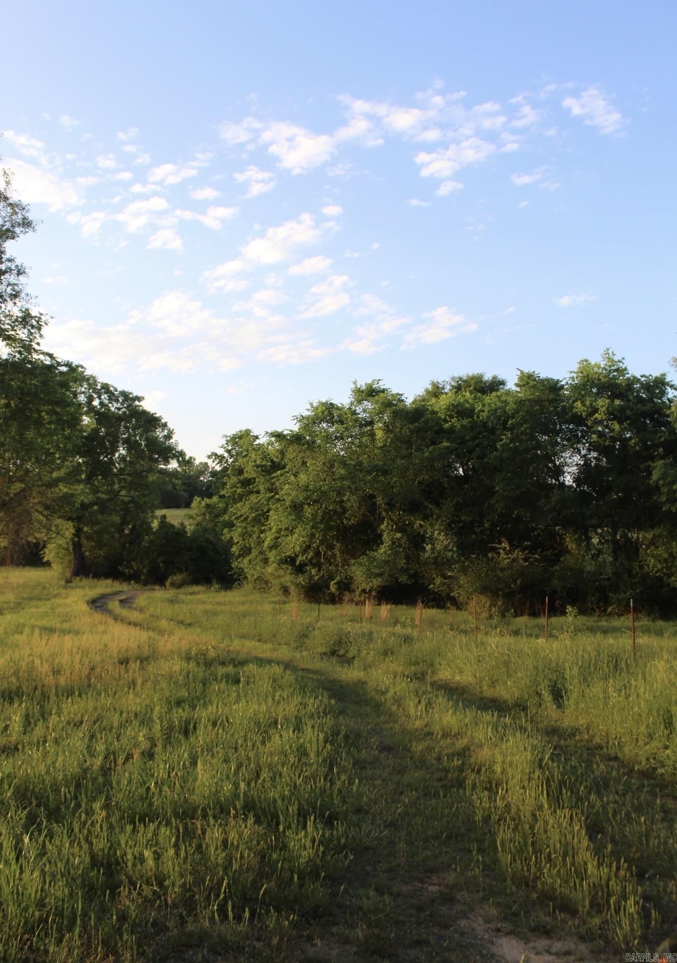 Property Photo: 299 Harmony Lane Tract 1 AR 71921
