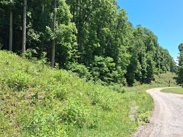 Property Photo:  Tbd Wooded Mountain Trail Tract 2  NC 28754 