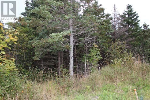 Property Photo:  235-241 Beachy Cove Road  NL A1M 1Z4 