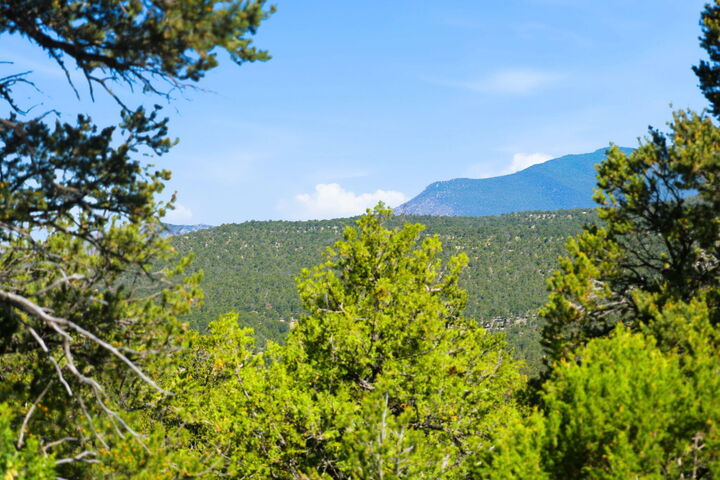 Property Photo:  1 Duncan Drive  NM 87059 