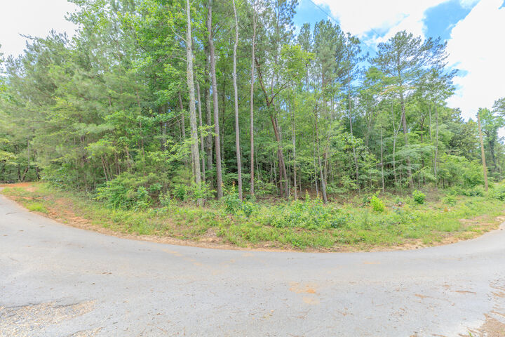 Property Photo: 0 Wallaceville Cemetery Road GA 30707