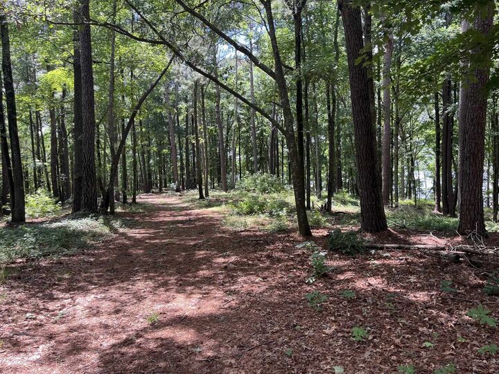 Property Photo: 1595 Pullman Lane GA 30642