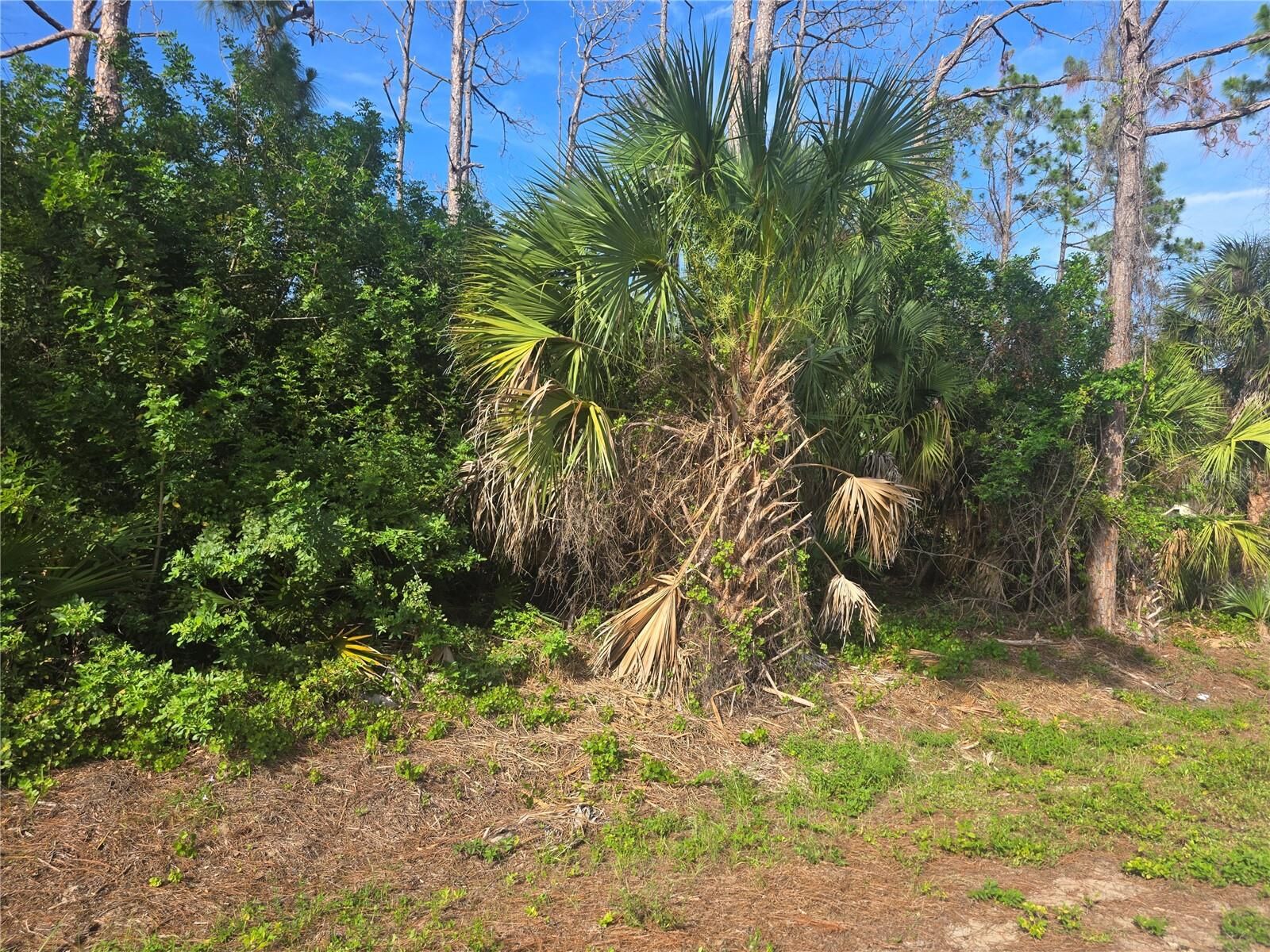 Property Photo: Pronto Lane FL 34286