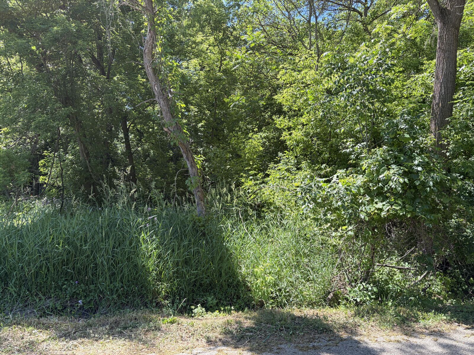 Property Photo: Lt3759 Vine Rd WI 53147
