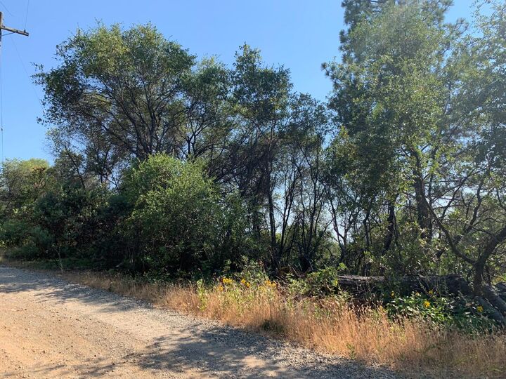 Property Photo: 13079 Hallwood Place CA 95949