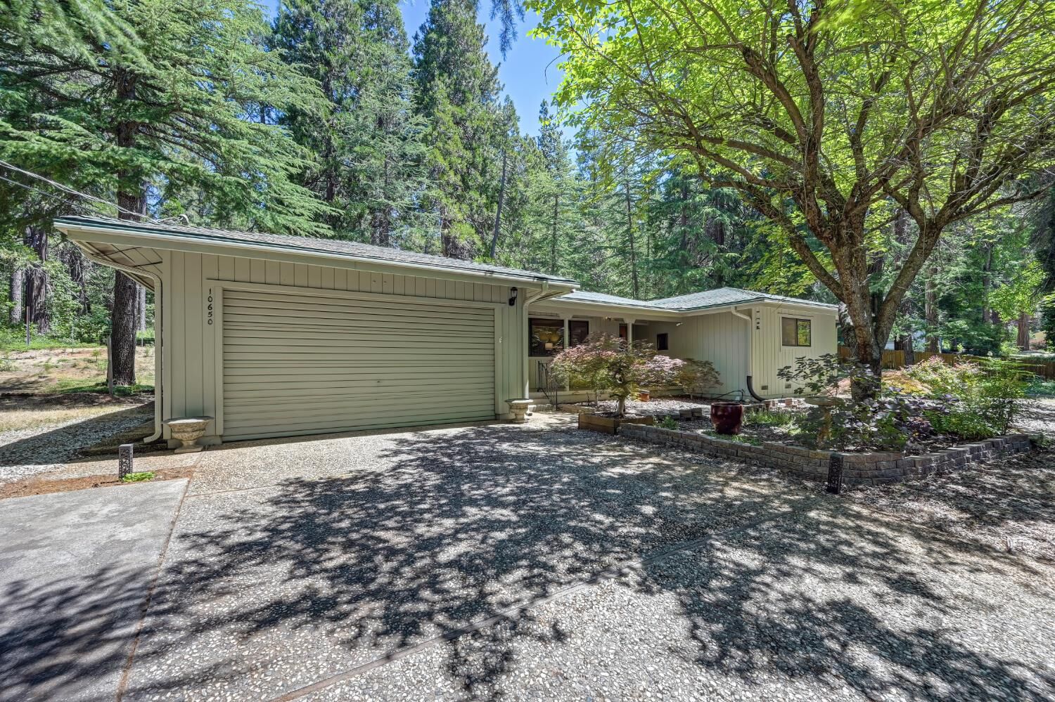 Property Photo:  10650 Pine Hill Drive  CA 95945 