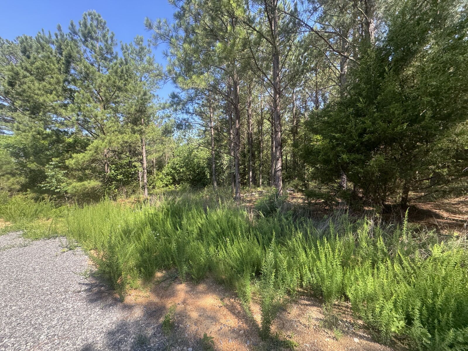Property Photo:  0 Rustic Pines Rd  TN 37058 