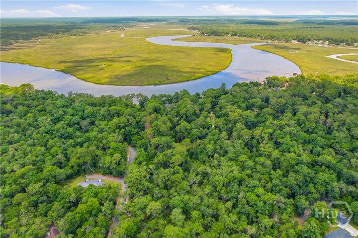Property Photo:  Lot 67 NE Delegal Drive  GA 31331 