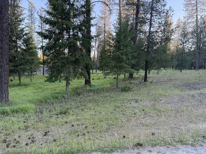 Property Photo: 195 E Trappers Loop WA 99109